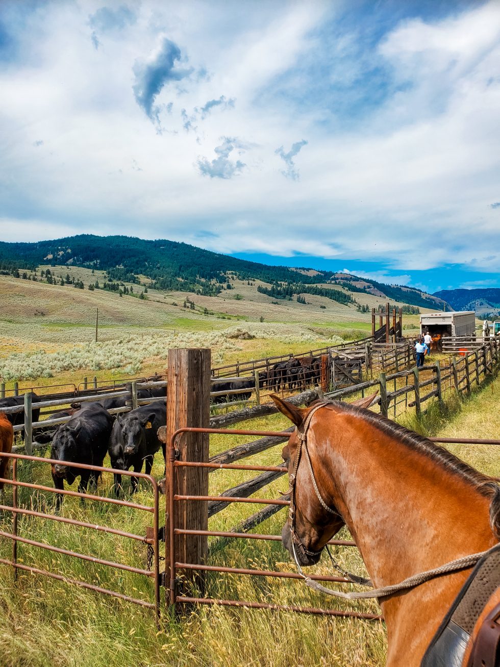 History | Clifton Ranch